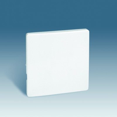 Simon S82,82N Клавиша 1-ная для 75101-,75150-,75152-,75201-,75251-,75211-39, шампань, 82010-34