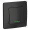 BLANCA С/У 1-клавишный ПЕРЕКЛЮЧАТЕЛЬ (cх.6) с подсв.,10А, 250B, АНТРАЦИТ