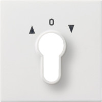 0664112 Gira Накладка выключателя с ключом