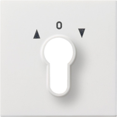 0664112 Gira Накладка выключателя с ключом