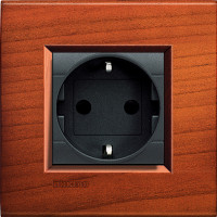 Розетка 2к+з, вставка - антрацит, серия Living Light, цвет рамки американская вишня Розетка 2к+з, вставка - антрацит, серия Living Light, цвет рамки американская вишня