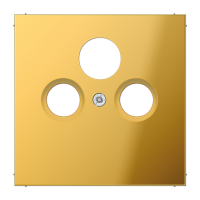 Крышка для SAT-TV-розетки; металл цвета золота, GO2990SAT