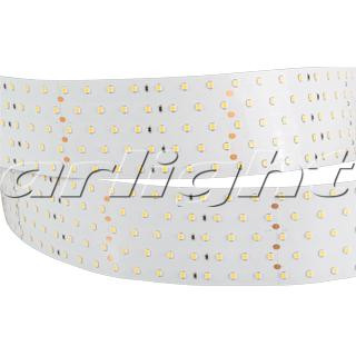 Светодиодная лента RT 2-2500 24V Cool 8K 5x2 (2835, 875 LED, LUX) (Arlight, 36 Вт/м, IP20), 019083
