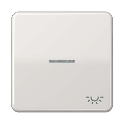 Клавиша с окошком и символом "освещение" для выключателей с подсветкой; светло-серая, CD590KO5LLG