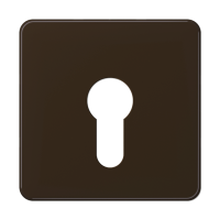 центральная плата для вставки с ключом, CD525BR