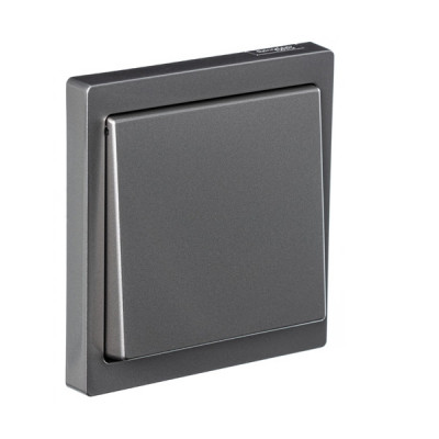 Выключатель 1-клавишный, цвет - нержавеющая сталь, серия D-Life