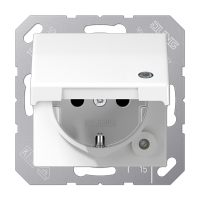 SCHUKO-розетка  с крышкой , AS1520BFKLKOWW