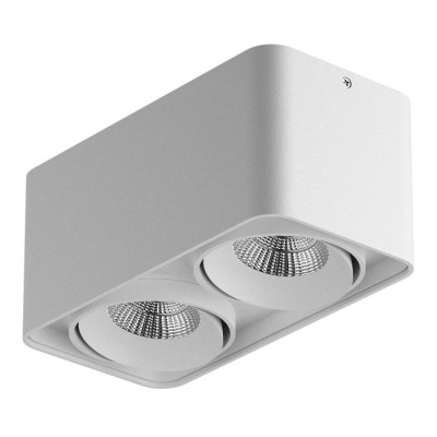 Lightstar 052326-IP65 Светильник MONOCCO LED 2х10W 1200LM 30G БЕЛЫЙ 3000K (в комплекте)