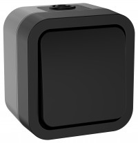 TORS Выключ. двухполюсный однокл. 10А IP55 TS111 графит IEK, TS-V16-0-10-55-K53 TORS Выключ. двухполюсный однокл. 10А IP55 TS111 графит IEK, TS-V16-0-10-55-K53