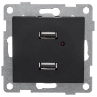 GUSI Bravo МЕХАНИЗМ розетки USB, двойной, скрытая установка. Цвет графит., С10USB2-010