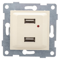 GUSI Ugra МЕХАНИЗМ розетки USB, двойной, скрытая установка. Цвет бежевый., С11USB2-003