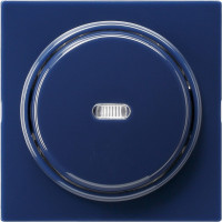 029046 Gira Клавиша с подсветкой