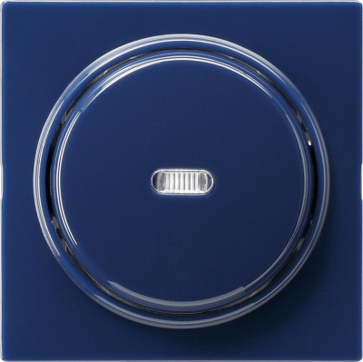 029046 Gira Клавиша с подсветкой