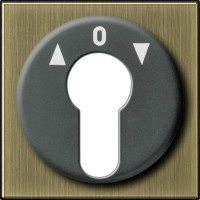 Накладка выключателя с ключом