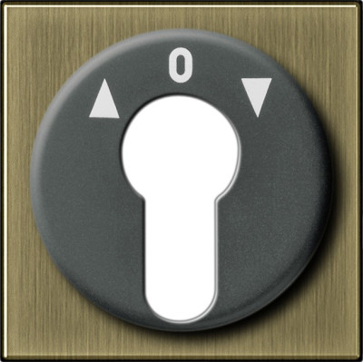 Накладка выключателя с ключом