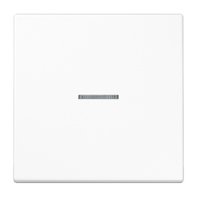 Одинарная клавиша с окошком для балансирных механизмов выключателей (кнопок), в комплекте с CD90HP (крепежный элемент), возможно IP44; дюропласт; белый; LS990, LS990KO5WW