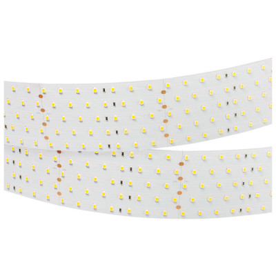 Светодиодная лента RT 2-2500 24V Day4000 5x2 (2835, 875 LED, LUX) (Arlight, 36 Вт/м, IP20), 019081(B)