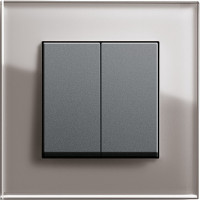 Gira Выключатель 2-клавишный, матовый антрацит - дымчатое стекло,серия Esprit