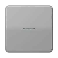 Клавиша для KNX кнопки, 1 группа с окошком; дюропласт; серый, CD101KO5GR Клавиша для KNX кнопки, 1 группа с окошком; дюропласт; серый, CD101KO5GR