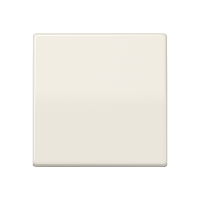 Одинарная клавиша для балансирных механизмов выключателей (кнопок), в комплекте с AS90HP (крепежный элемент), возможно IP44; дюропласт; слоновая кость; AS500, AS591