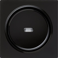 029047 Gira Клавиша с подсветкой