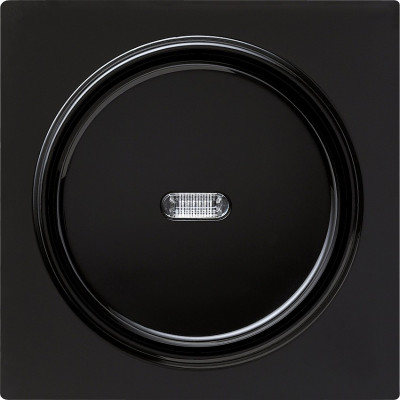 029047 Gira Клавиша с подсветкой