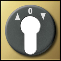 Накладка выключателя с ключом