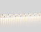 Светодиодная лента двухрядная 12В 2835 240Led 19.2Вт/м 3000K IP20 5м, AMBRELLA LIGHT, GS1601
