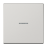 Одинарная клавиша с окошком для балансирных механизмов выключателей (кнопок), в комплекте с CD90HP (крепежный элемент), возможно IP44; дюропласт; светло-серый; LS990, LS990KO5LG