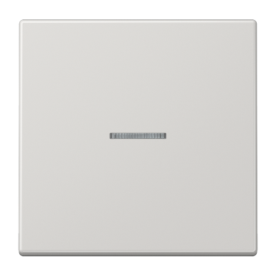 Одинарная клавиша с окошком для балансирных механизмов выключателей (кнопок), в комплекте с CD90HP (крепежный элемент), возможно IP44; дюропласт; светло-серый; LS990, LS990KO5LG