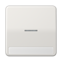 Клавиша с окошком для выключателя с подсветкой и полем для надписи; светло-серая, CD590NAKO5LG