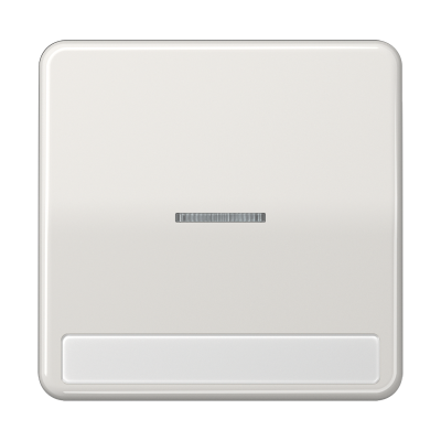 Клавиша с окошком для выключателя с подсветкой и полем для надписи; светло-серая, CD590NAKO5LG