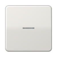 Клавиша для KNX кнопки, 1 группа с окошком; дюропласт; светло-серый, CD101KO5LG Клавиша для KNX кнопки, 1 группа с окошком; дюропласт; светло-серый, CD101KO5LG