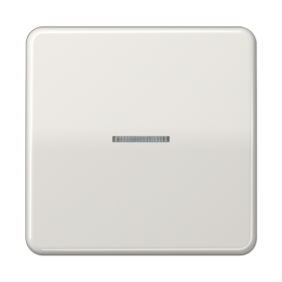 Клавиша для KNX кнопки, 1 группа с окошком; дюропласт; светло-серый, CD101KO5LG