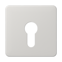 центральная плата для вставки с ключом, CD525LG