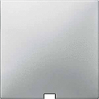 SD Накладка для выключателя со шнурком, стальн.