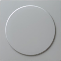 026842 Gira Заглушка с опорной платой