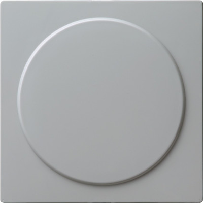 026842 Gira Заглушка с опорной платой