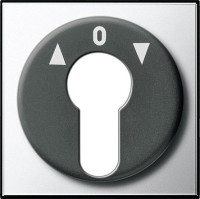 0664605 Gira Накладка выключателя с ключом