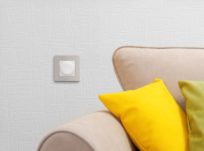 Legrand Рамка 1 пост - Legrand Inspiria - шампань, 673938