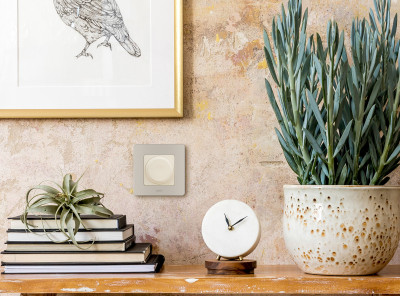 Legrand Рамка 1 пост - Legrand Inspiria - шампань, 673938