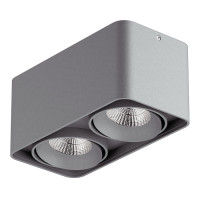 Lightstar 052129-IP65 Светильник MONOCCO LED 2х10W 1200LM 30G СЕРЫЙ 4000K (в комплекте)