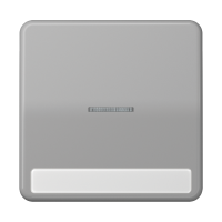 Клавиша с окошком для выключателя с подсветкой и полем для надписи; серая, CD590NAKO5GR