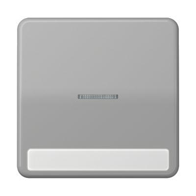 Клавиша с окошком для выключателя с подсветкой и полем для надписи; серая, CD590NAKO5GR