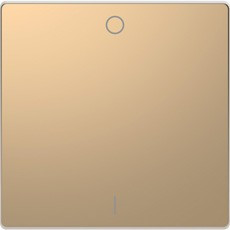 D-Life Клавиша 1-ная с символом O/I, или вкл/выкл., шампань