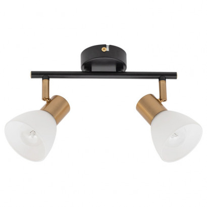 Arte Lamp FALENA, Светильник потолочный, цвет арматуры - черный, цвет плафона/декора - БЕЛЫЙ, 2х40W E14, A3117PL-2BK