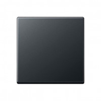EP490AN - Клавиша для одинарного выключателя; антрацит, Jung