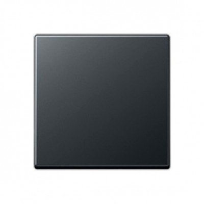 EP490AN - Клавиша для одинарного выключателя; антрацит, Jung