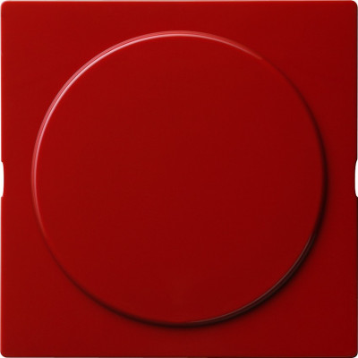 026843 Gira Заглушка с опорной платой