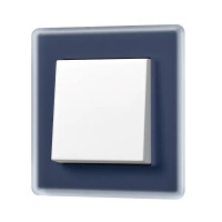A VIVA Выключатель 1-клавишный, клавиша белый/Рамка 1-ная, стекло цвет Синий, Jung